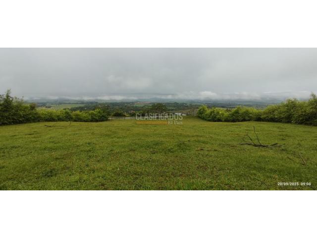 Lotes, Venta en Palmira