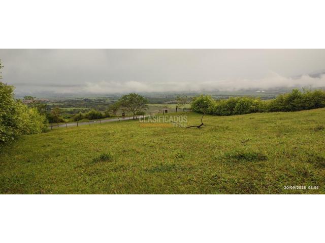 Lotes, Venta en Palmira