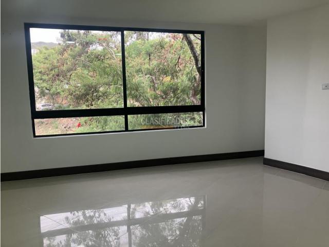 Apartamentos, Alquiler en Bellavista