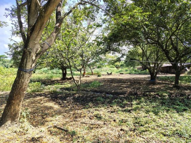 Lotes, Venta en Pance