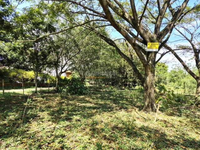 Lotes, Venta en Pance