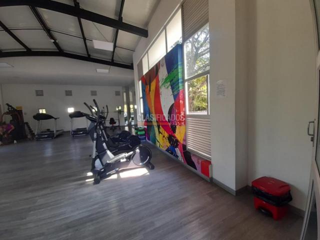 Apartamentos, Alquiler en Pereira