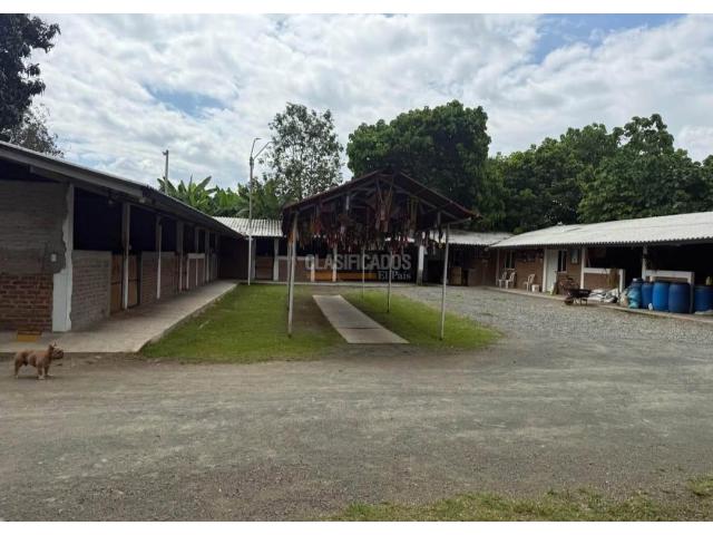 Fincas y Casas Campestres, Venta en Palmira