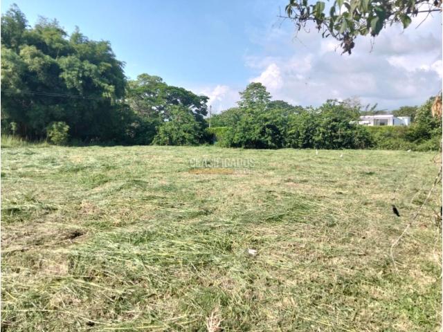 Lotes, Venta en Jamundí