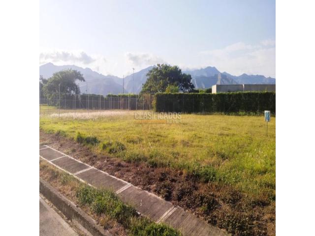 Lotes, Venta en Palmira