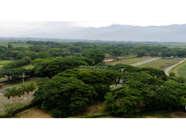 Lotes, Venta en Palmira