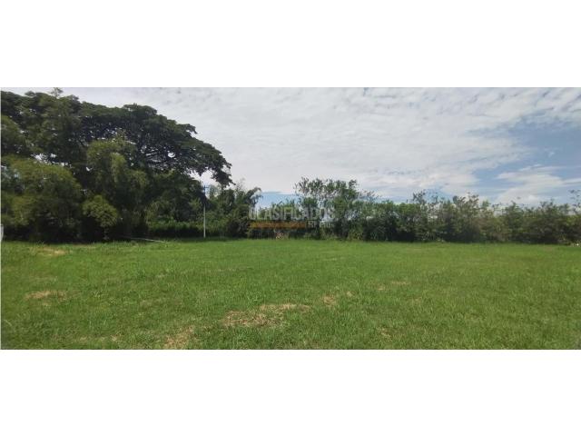 Lotes, Venta en Palmira