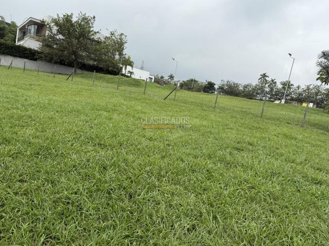 Lotes, Venta en Pance