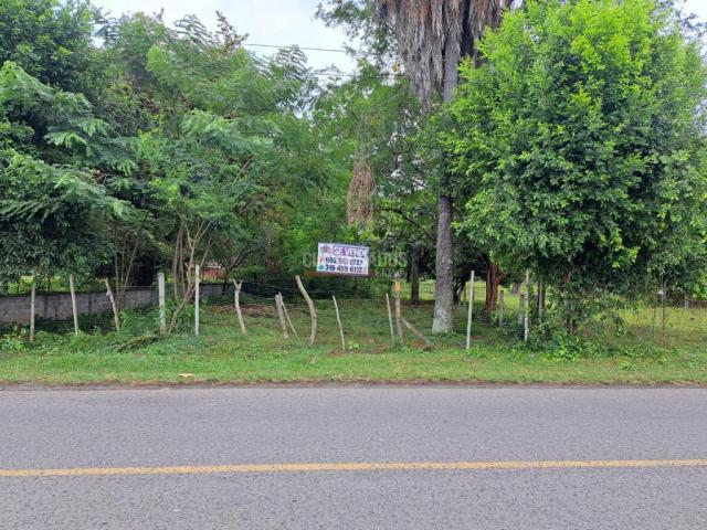 Lotes, Venta en Palmira