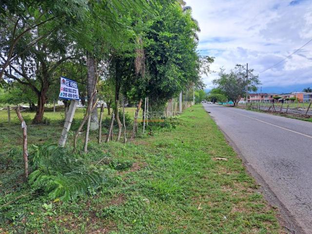 Lotes, Venta en Palmira