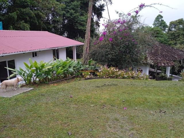 Fincas y Casas Campestres, Alquiler en Dagua