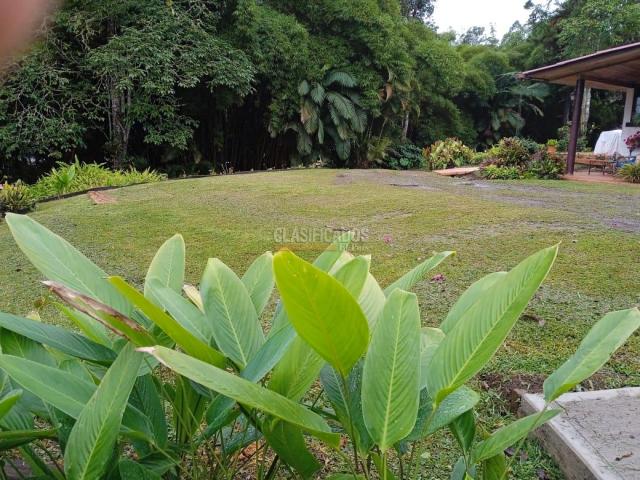 Fincas y Casas Campestres, Alquiler en Dagua