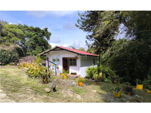 Fincas y Casas Campestres, Alquiler en Dagua