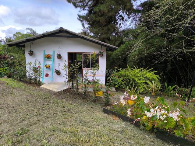 Fincas y Casas Campestres, Alquiler en Dagua