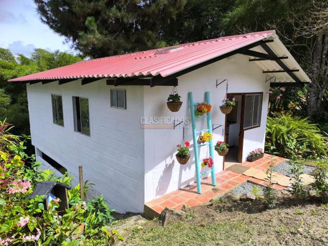 Fincas y Casas Campestres, Alquiler en Dagua