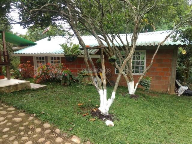 Fincas y Casas Campestres, Venta en La Elvira