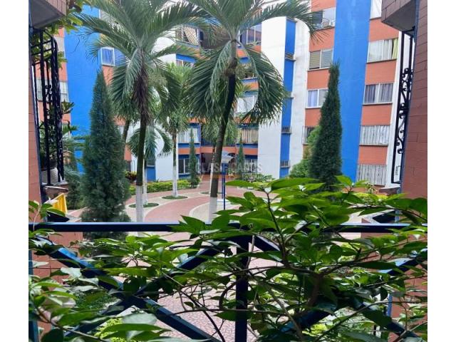 Apartamentos, Alquiler en Álamos