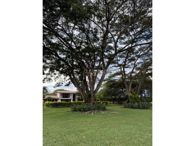 Fincas y Casas Campestres, Venta en Palmira