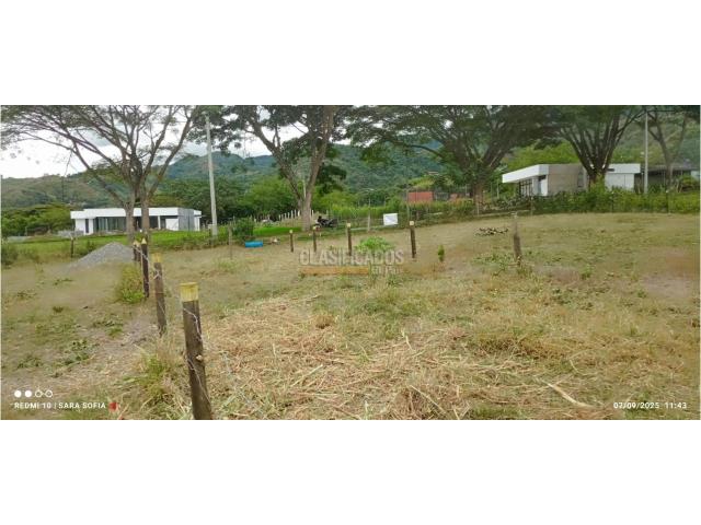 Lotes, Venta en Palmira