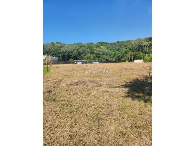 Lotes, Venta en Pance