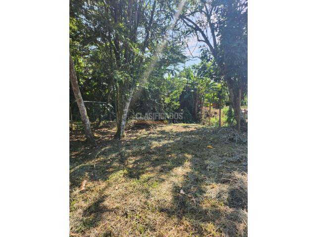 Lotes, Venta en Pance