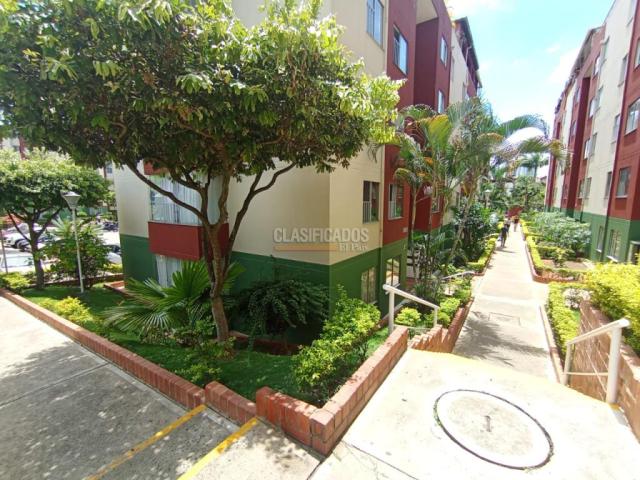 Apartamentos, Alquiler en Floridablanca
