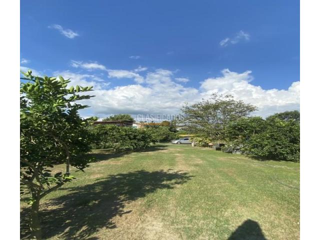 Lotes, Venta en Palmira