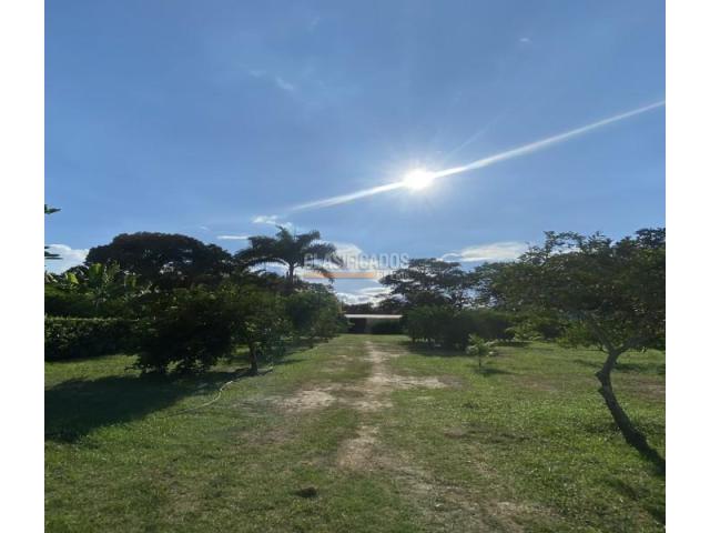 Lotes, Venta en Palmira