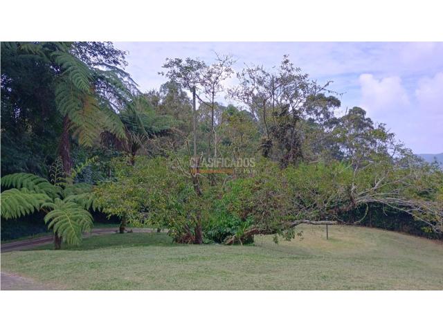 Fincas y Casas Campestres, Venta en La Elvira