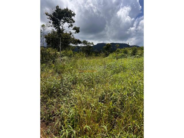 Lotes, Venta en Dagua