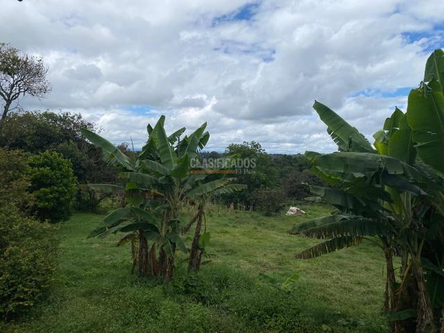 Fincas y Casas Campestres, Venta en Piendamó