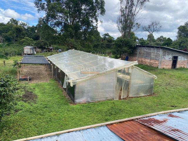 Fincas y Casas Campestres, Venta en Piendamó