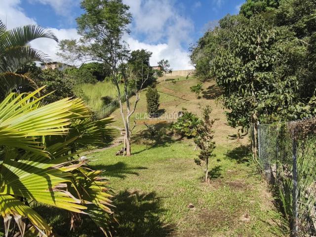 Fincas y Casas Campestres, Venta en Dagua