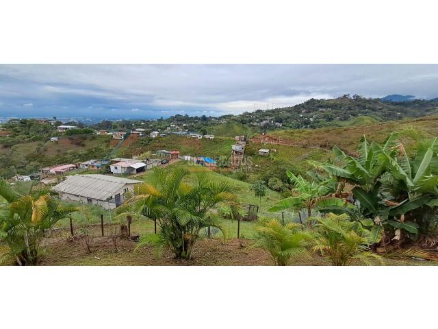 Apartaestudios, Alquiler en La Reforma