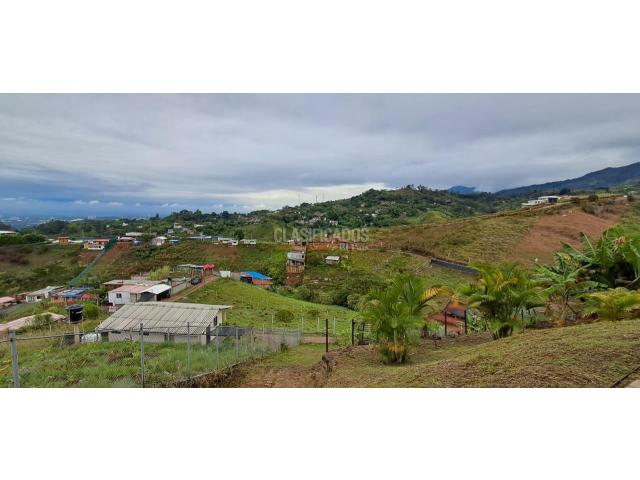 Apartaestudios, Alquiler en La Reforma