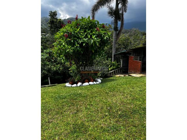 Lotes, Venta en La Reforma