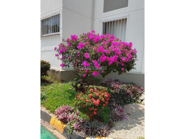 Apartamentos, Venta en Colseguros