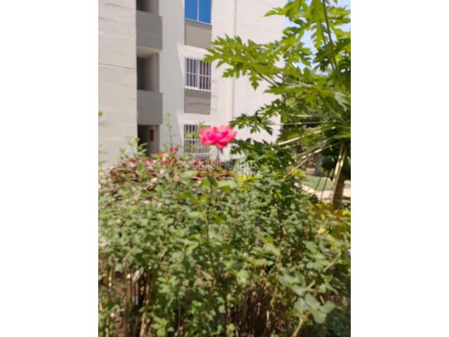 Apartamentos, Venta en Colseguros