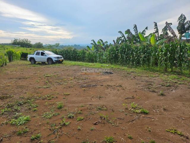 Lotes, Venta en Pereira