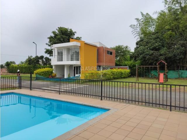 Lotes, Venta en Palmira