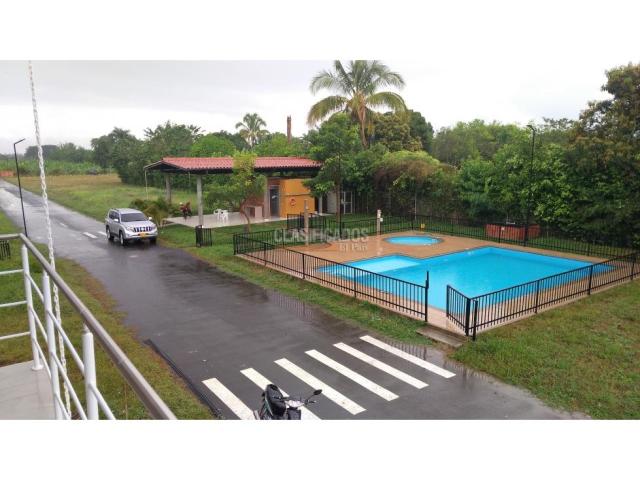 Lotes, Venta en Palmira