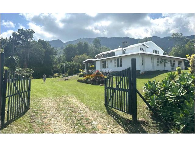 Casas, Alquiler en Dapa