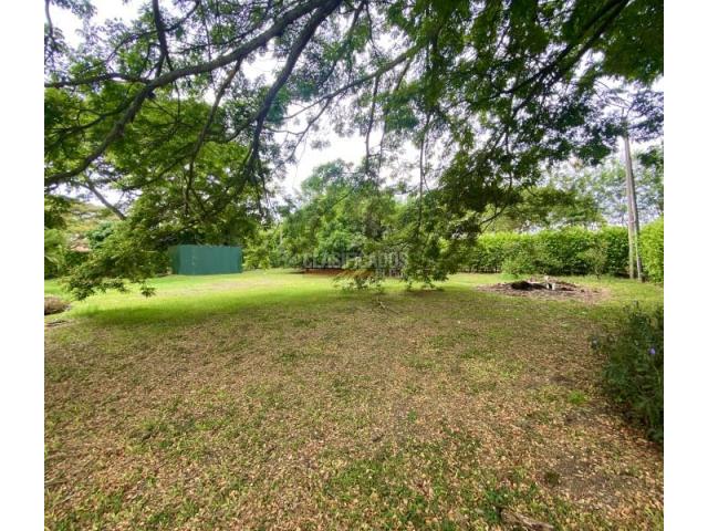 Lotes, Venta en Palmira