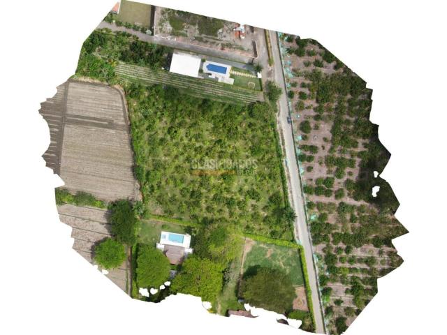 Lotes, Venta en Palmira