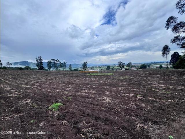 Lotes, Venta en Bojaca