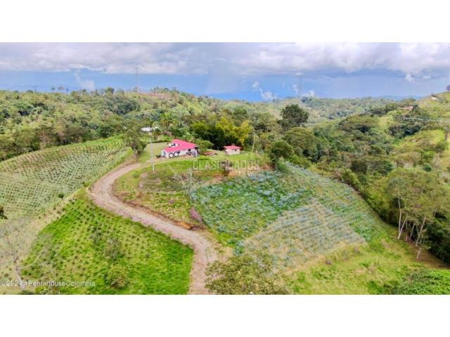 Casas, Venta en Quipile