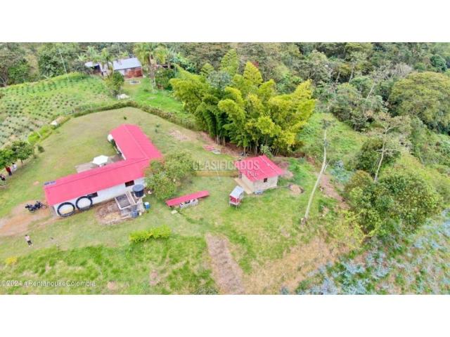 Fincas y Casas Campestres, Venta en Quipile