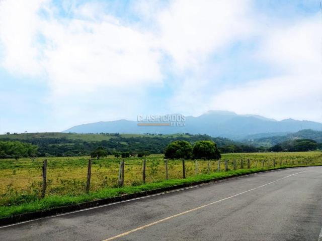 Lotes, Venta en 3 de Julio