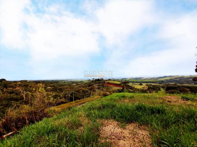 Lotes, Venta en Pance