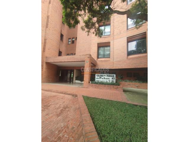 Apartamentos, Alquiler en Bellavista